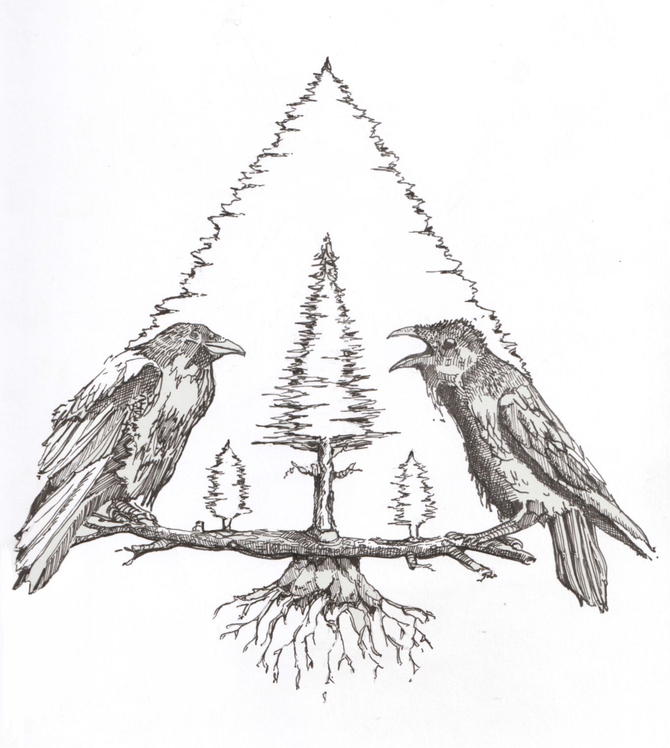 Ravens